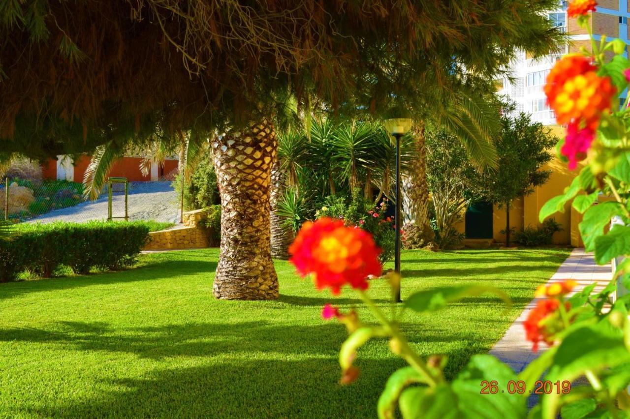 Bungalo En Primera Linea De La Playa El Campello Kültér fotó